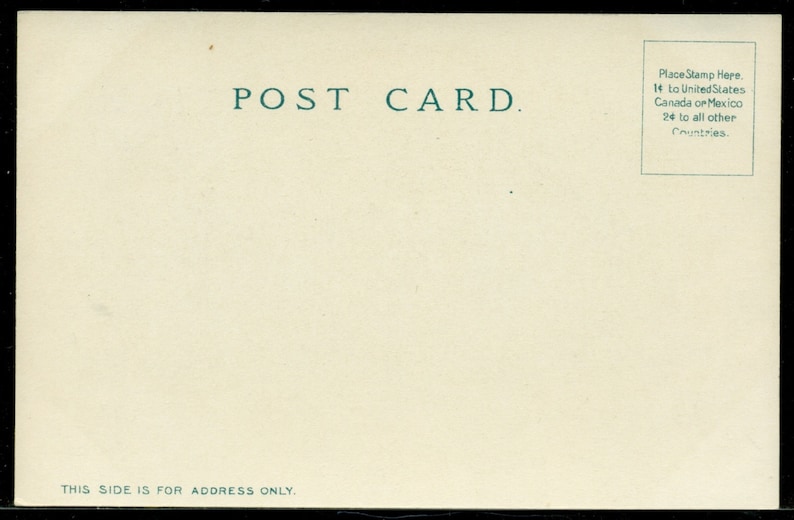 California Ostrich Farm Antique Undivided Back Postcard Unused 1901-1907