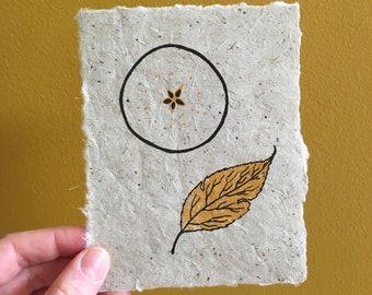 apple fruit, seeds, and autumn leaf // small screenprint on handmade paper
