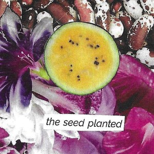 the seed planted found text poetry collage, 8-page mini zine made from seed catalogs image 1