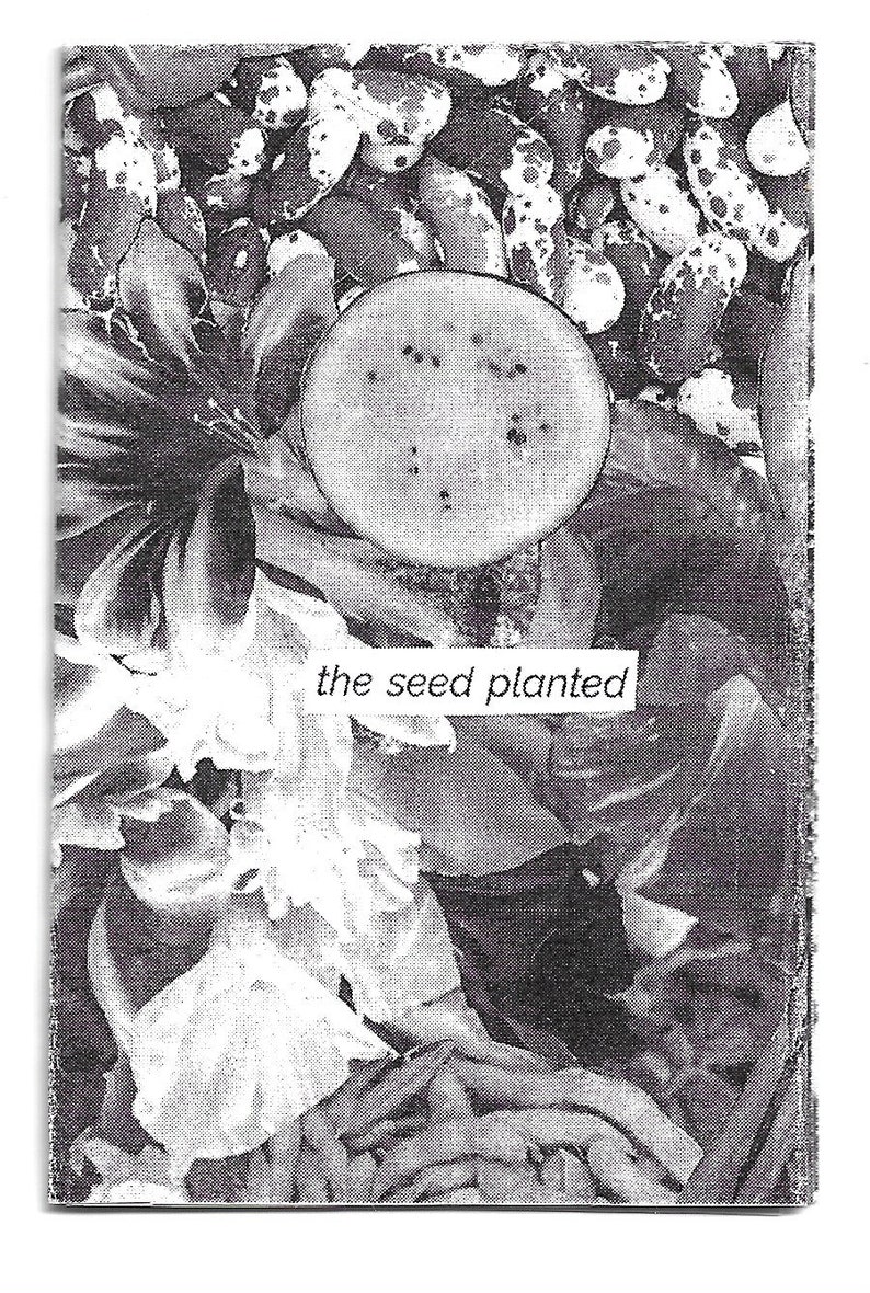 the seed planted found text poetry collage, 8-page mini zine made from seed catalogs image 2