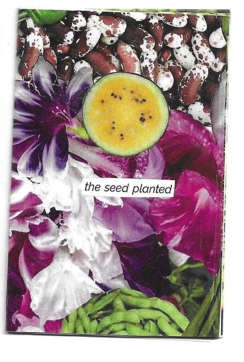 the seed planted found text poetry collage, 8-page mini zine made from seed catalogs image 1