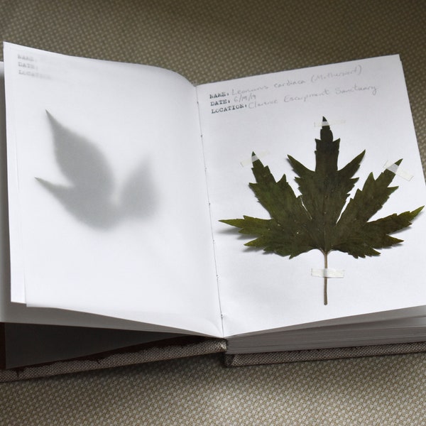 herbarium journal // made to order, personalized book for collecting plants // 7.5” x 5.5” // 3-4 week lead time