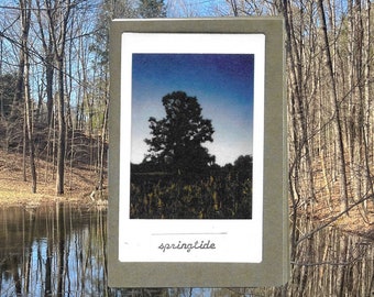 springtide: mini-zine of photos and poetry about water, embodied memory, and the melancholy of changing seasons