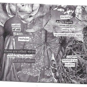 the seed planted found text poetry collage, 8-page mini zine made from seed catalogs image 4