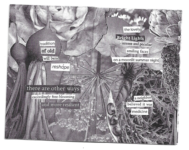 the seed planted found text poetry collage, 8-page mini zine made from seed catalogs image 4