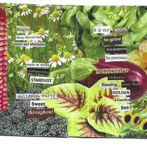 the seed planted found text poetry collage, 8-page mini zine made from seed catalogs image 3