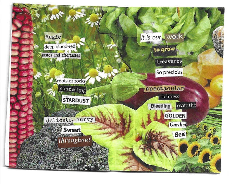 the seed planted found text poetry collage, 8-page mini zine made from seed catalogs image 3