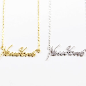 New York Necklace, State Necklace, Florida State Necklace, Handwriting Of New York, State Charm, Layering Necklace, Rose Gold New York State