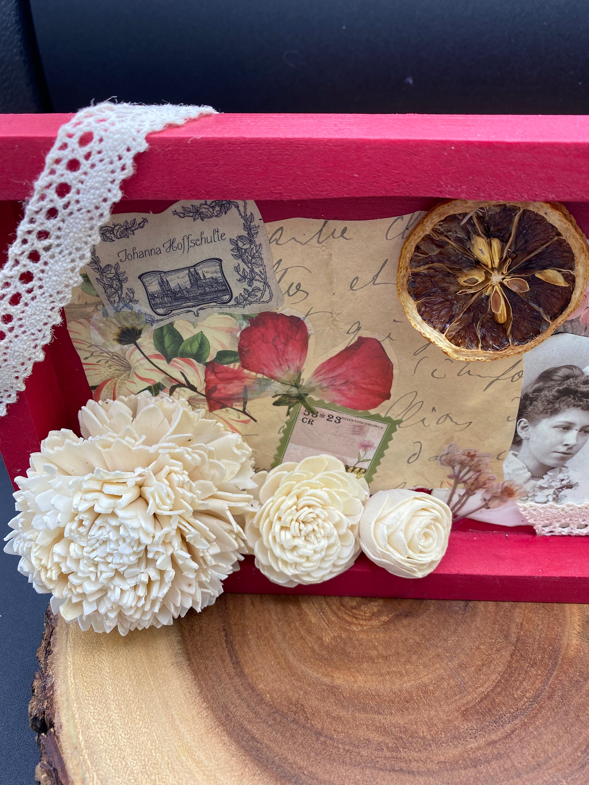 Letter Home Mixed Media Collage Shadow Box Art I Hug Trees Not People