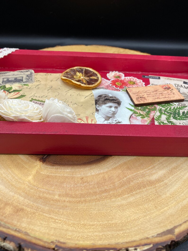 Letter Home Mixed Media Collage Shadow Box Art I Hug Trees Not People