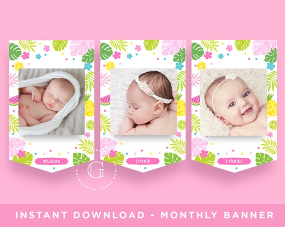 Flamingo 1st Year Banner. Monthly Banner. First Birthday. Flamingo Birthday Party Decorations. INSTANT DOWNLOAD. Printable File. Il_570xn