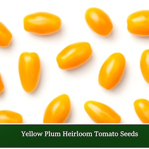 20 Heirloom Vegetable Seeds -Yellow Plum Tomato -Save Big on More Packs -Mix and Match! Sale!