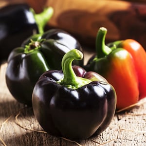 20 Heirloom Vegetable Seeds -Miniature Chocolate Bell Sweet Pepper-  Save Big on More Packs -Mix and Match! Sale!