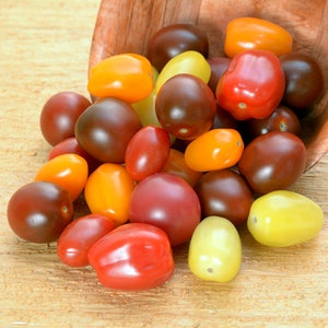 20 Heirloom Tomato Seeds -Serendipity&#39;s Rainbow Cherry Mix Tomato- 20 Vegetable Seeds-Save Big on More Packs -Mix and Match! Sale!
