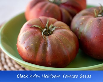 Vegetable Seeds-Black Krim Heirloom Tomato -20 Heirloom SEEDS