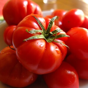 May include: A bowl filled with ripe red tomatoes. The tomatoes are various sizes and shapes, some with green stems still attached.