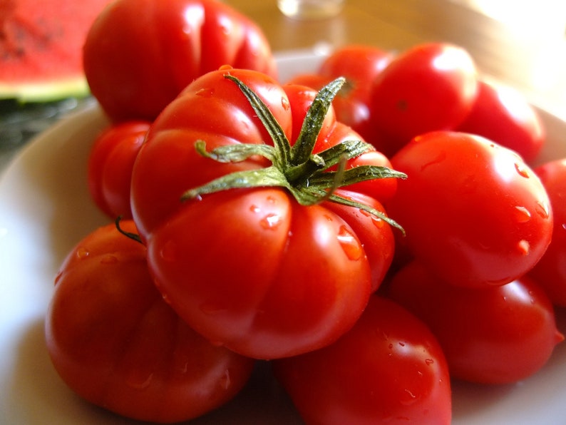 May include: A bowl filled with ripe red tomatoes. The tomatoes are various sizes and shapes, some with green stems still attached.