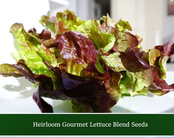 Vegetable Seeds -Serendipity's Heirloom Lettuce Gourmet Blend -250 Heirloom Seeds Leaf Lettuce Mix- Fresh Tasty Salads! -Low Price!