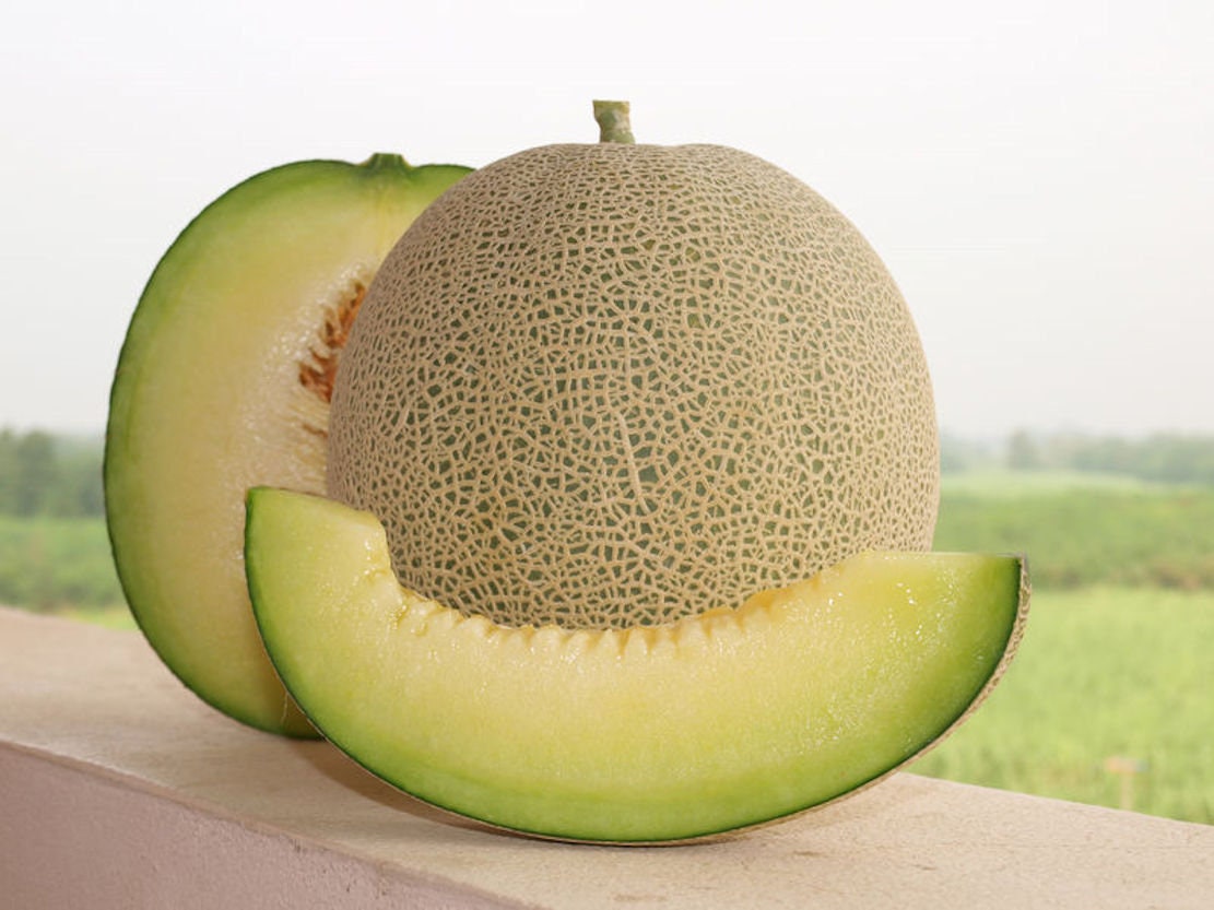 Cantaloupe 25 melon Seeds Rocky Ford Seed Green Heirloom Etsy