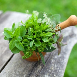 May include: A wooden mortar and pestle filled with a variety of fresh herbs, including mint, oregano, and basil. The herbs are green and vibrant, and the mortar and pestle are a natural wood color.