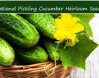 Vegetable Seeds - National Pickling Cucumber- 20 Heirloom Seeds -All Natural Flavorful 7" Fruit