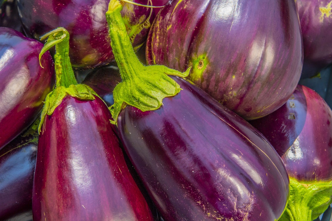 SEEDS Rosita Eggplant 10 Vegetable Seeds grill or stir Etsy