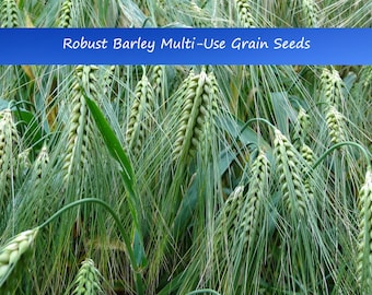 100 Robust Malting Barley Grain Seeds- Ancient Cereal Grain- Buy More Save More-Mix & Match!
