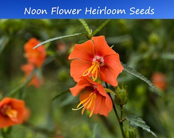plant fertilizer for indoor plants 100% Organic Indoor Plant Potting Soil Mix — Nutrient Rich, Well-Drain –  Houseplant Resource Center main image 1
