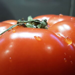 May include: A close-up of a red tomato with water droplets on its surface. The tomato is ripe and has a green stem.