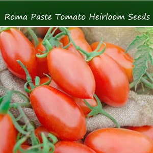 20 Roma Paste Heirloom Tomato Seeds -Sauce-Freezing---Super Productive-Save Big on More Packs -Mix and Match- Sale!