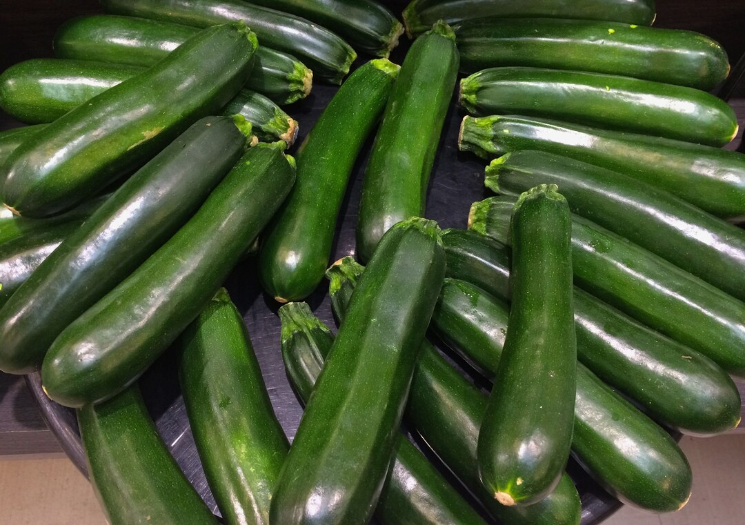 Zucchini Dark Green 20 Seeds heirloom Vegetable squash Etsy