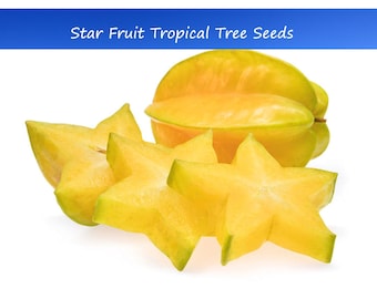 10 Heirloom Tropical Seeds -Starfruit Tree  -AVERRHOA carambola-Save Big on More Packs -Mix and Match! Sale!