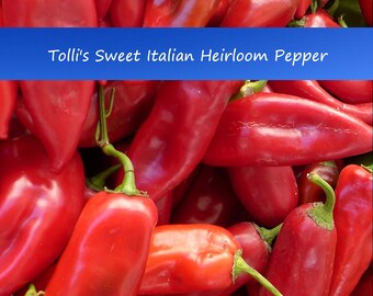 Pepper Seeds -Tolli's Sweet Italian Pepper! 10 Heirloom Seeds - Colorful Fruit