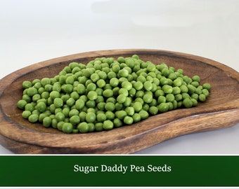 Pea -Sugar Daddy -100 Seeds -Original Stringless Snap Pea- Sweet Tasty- Use early pods for stir fry- let grow for shelling Cool Weather Crop