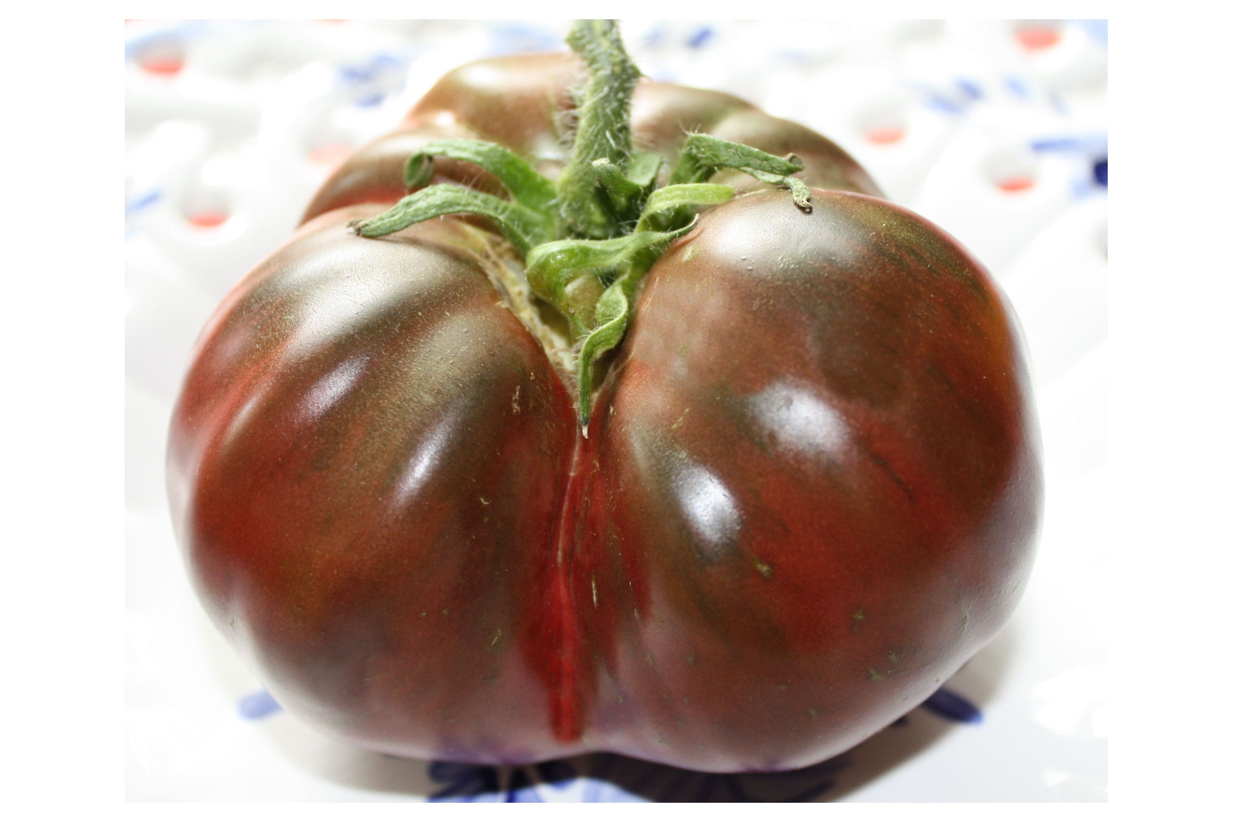 seeds Tomato Crnkovic Clean 10 seeds-seeds-graines-semi 