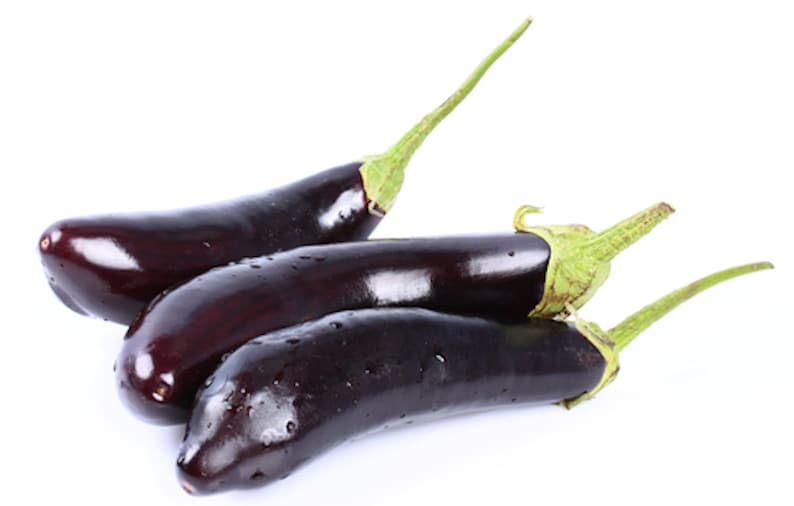 Seedseggplant Millionaire 10 Seedsvegetable Seed Etsy