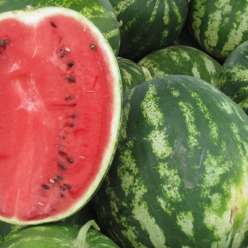 20 Heirloom Sugar Baby Watermelon Seeds- Buy More Save More-Mix & Match!