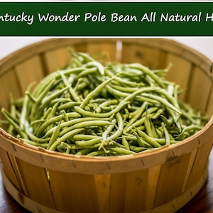 May include: A wooden basket filled with fresh green Kentucky Wonder Pole Beans. The basket has a metal handle and sits on a wooden surface. The text "Kentucky Wonder Pole Bean All Natural Heirloom" is at the top.