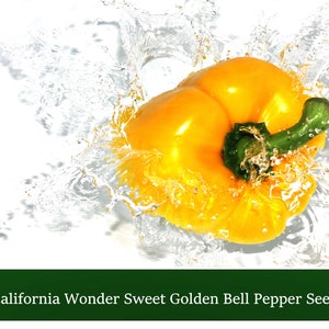 20 All Natural Heirloom Pepper Seeds -California Wonder Sweet Golden Bell Pepper  -Save Big on More Packs -Mix and Match! Sale!