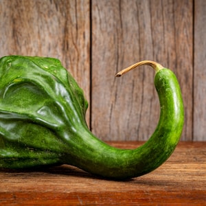 10 Seeds -Dinosaur Gourd  - Lagenaria siceraria -Fun for Kids-Save Big on More Packs -Mix and Match- Sale!