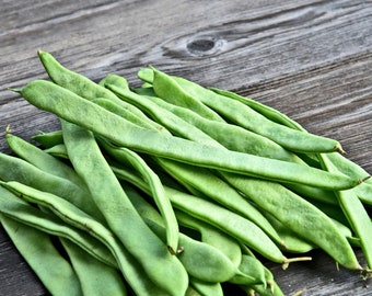 Vegetable Seeds -Christmas Pole Lima Bean  20 Heirloom Seeds - Hard to find Garden Vegetable- Giant Butter Bean