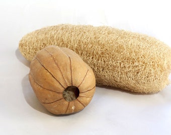 May include: Two natural loofahs on a white background. One is a large, oblong shape, and the other is a smaller, rounded shape with a hole. Both are beige and have a fibrous texture, suggesting they are for exfoliating or cleaning.