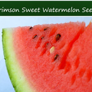May include: Close-up of a slice of watermelon with red flesh and black seeds. The rind is green.