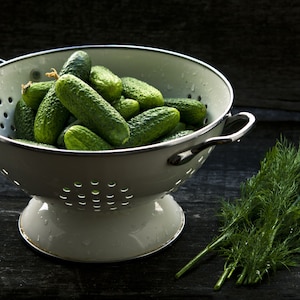 20 All Natural Heirloom Boston Pickling Cucumber Seeds -  Vegetable Seeds-Save Big on More Packs -Mix and Match- Sale!