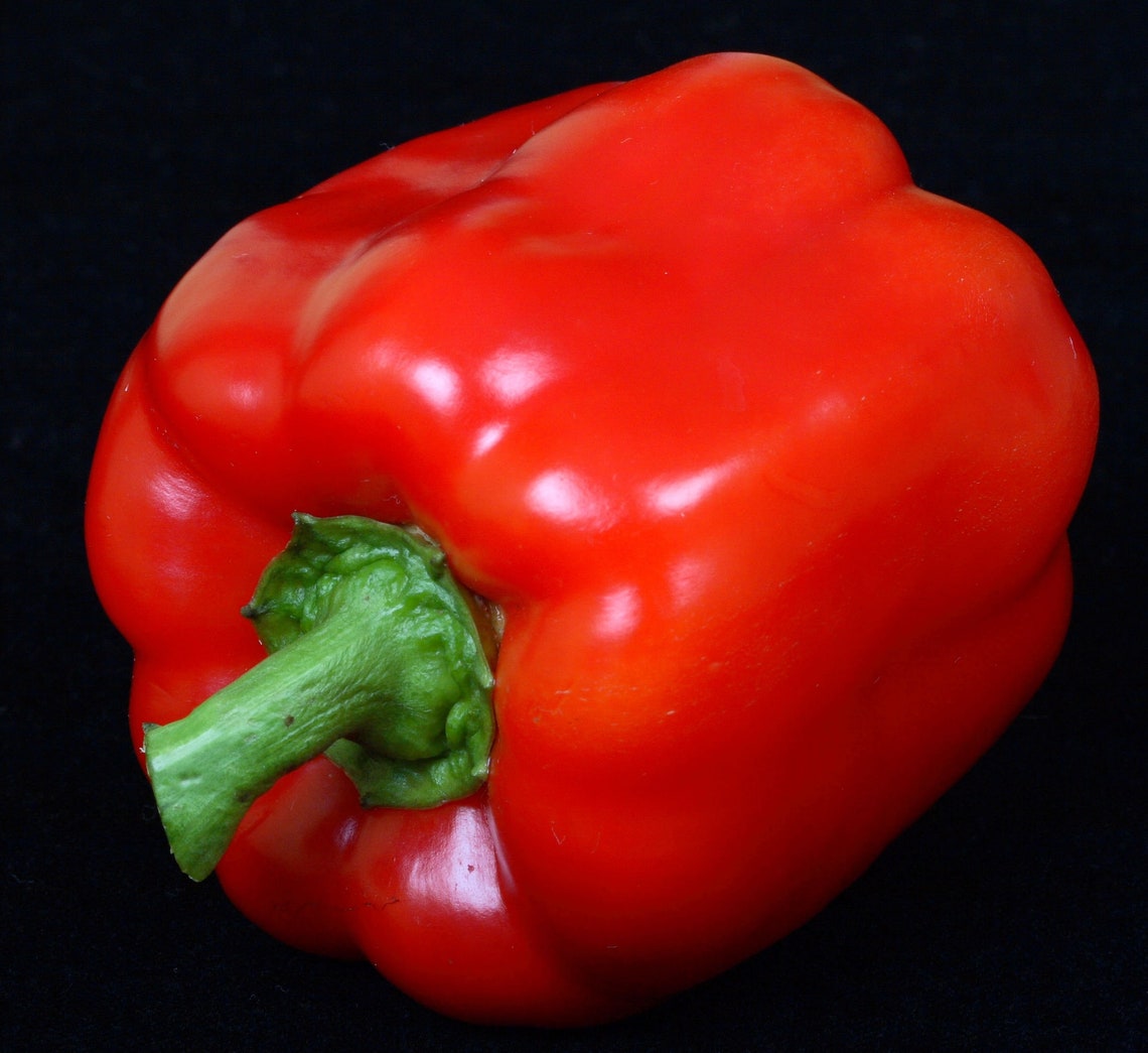 Yolo Wonder Sweet Pepper 20 Seeds high Yields large Sweet Etsy