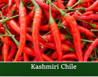 Kashmiri Chilli / Chile Pepper- 20 seeds Vegetable Spice - Hot Pepper Capsicum Culinary or Ornamental Plant