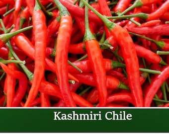 20 Heirloom Kashmiri Chile Pepper Seeds! -Hot Pepper