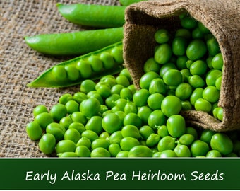 Vegetable Seeds- Pea- Early Alaska Heirloom Pea -100 Seeds -Tender and Sweet -Loves Cool Weather -Produces Early