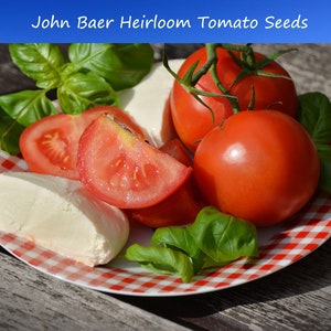 Tomato Seeds-John Baer 20 Vegetable Seeds -Good for Sauce and Fresh- Freezing-Save Big on More Packs -Mix and Match- Sale!