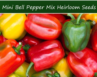 Pepper Seeds-Serendipity's Mini Bell Sweet Pepper Color Mix -20 Seeds - Vegetable Seeds-Beautiful Fruits - All Natural